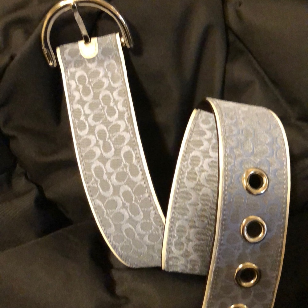 Coach belt - Picture 2 of 5